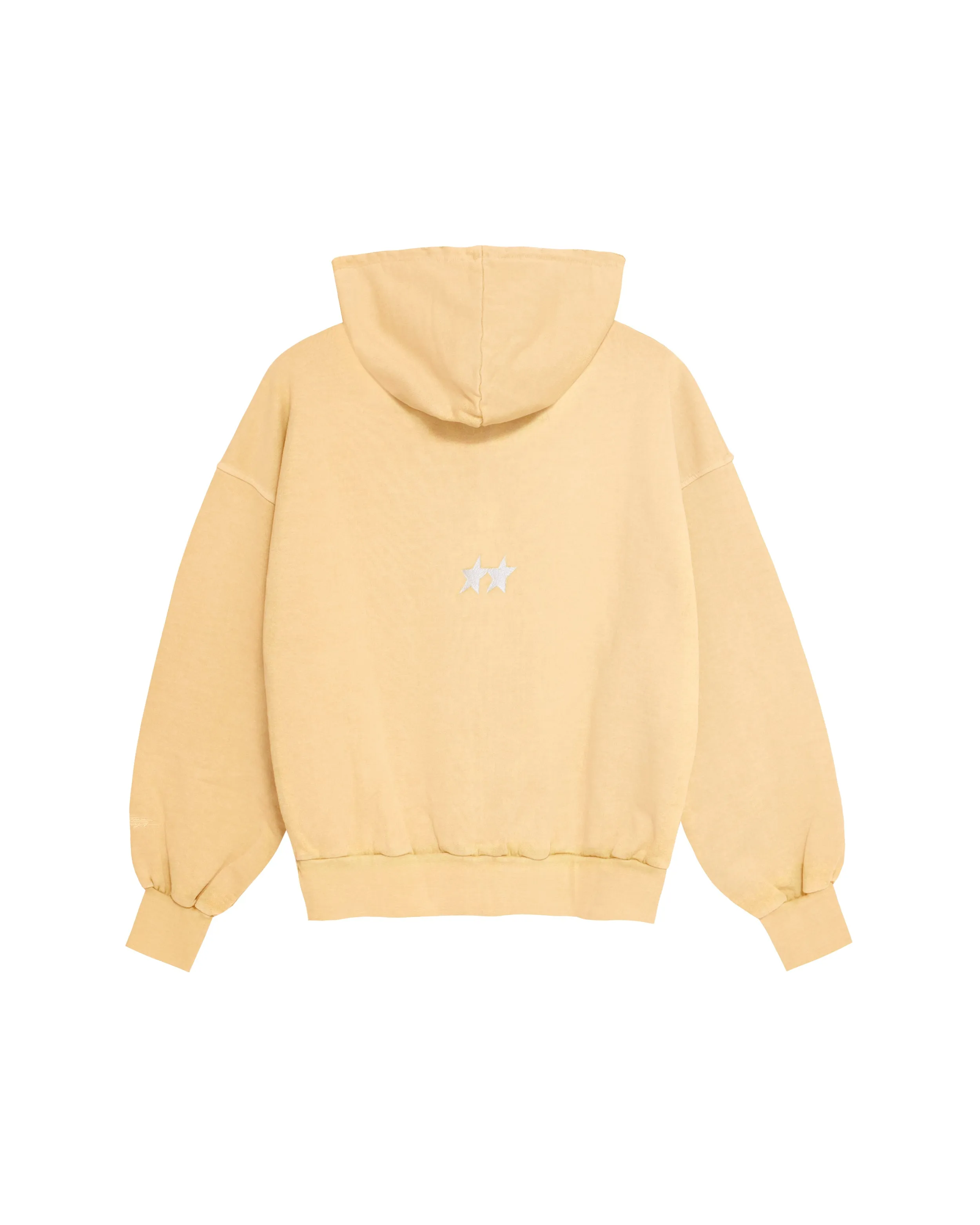 Icon Hoodie